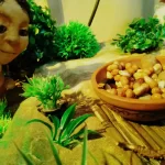 Obra DE BARRO Y FUEGO del Grupo A LUZ Y A SOMBTA de Verónica Guerín, ciudad de Buenos Aires, Argentina